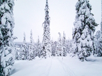 Riisitunturi National Park